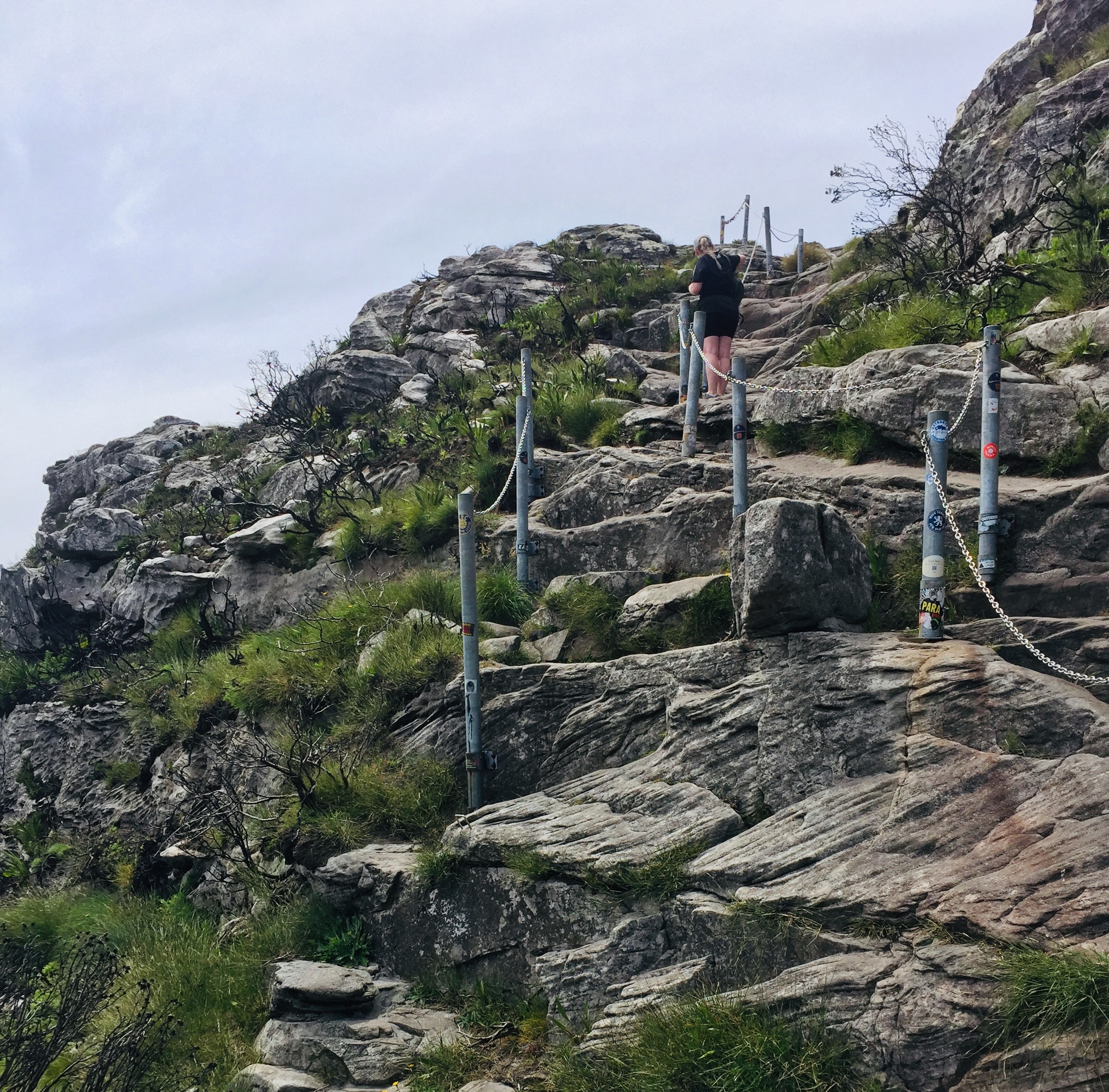 Titans Lab Synthetic Intelligence